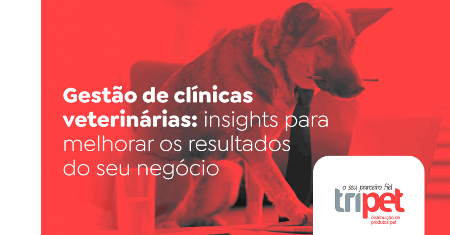 Gestão de clínicas veterinárias