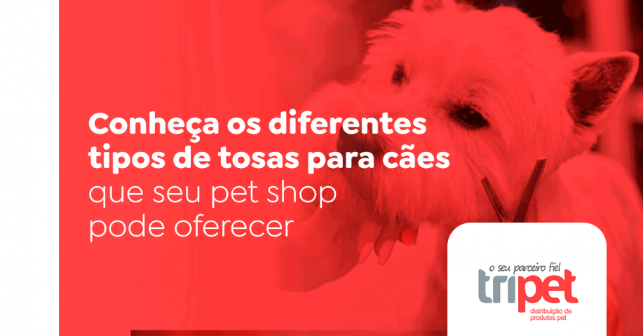 Tipos de tosas para cães