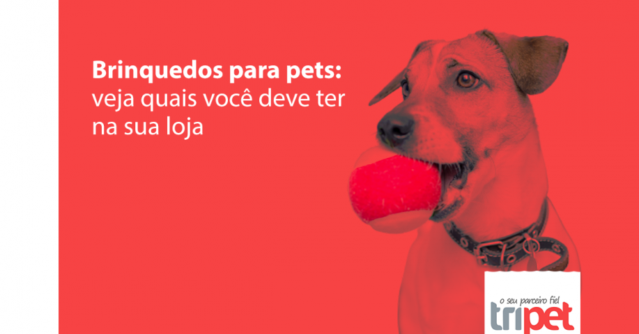 Brinquedos para pets