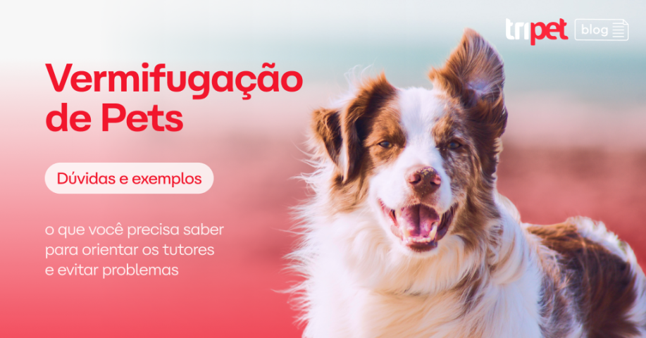 vermifugação pet