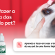 Como fazer a limpeza ocular do seu pet